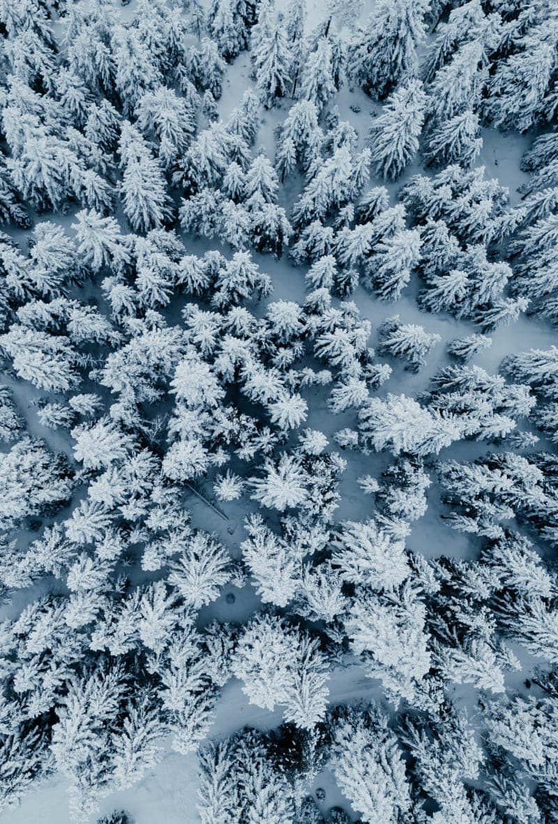 Winterlandschaft