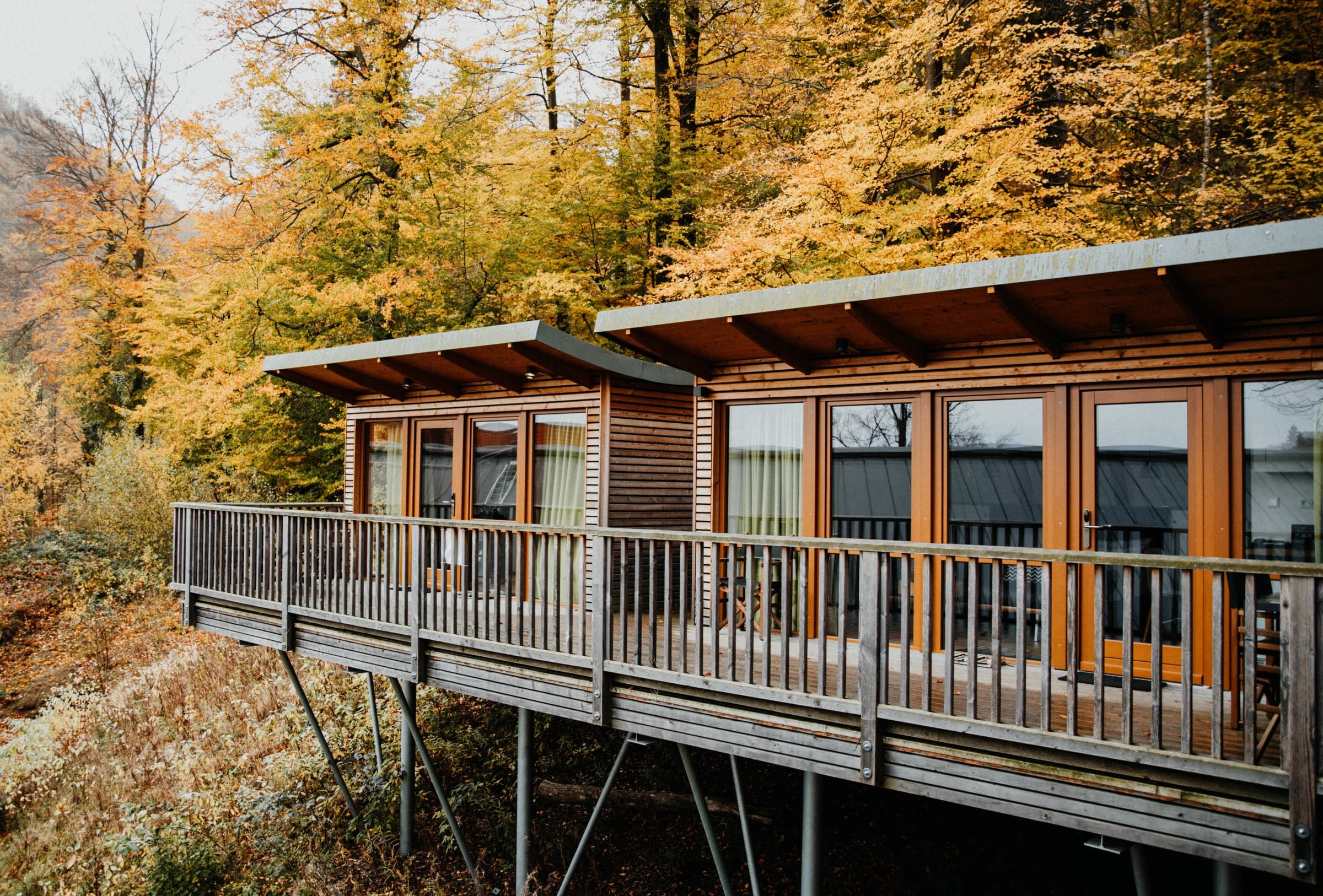 Der Harz Guide