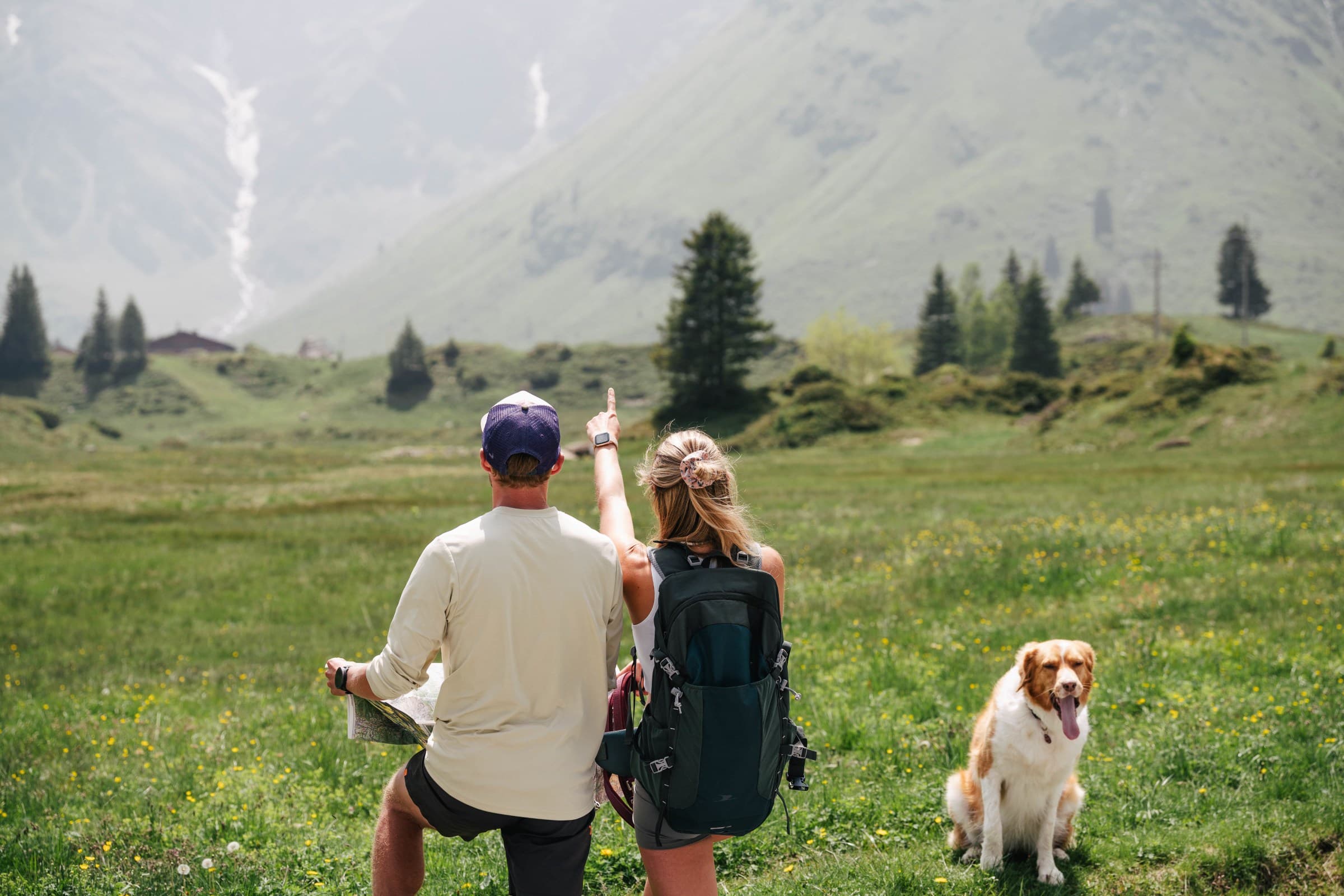 Urlaub mit Hund