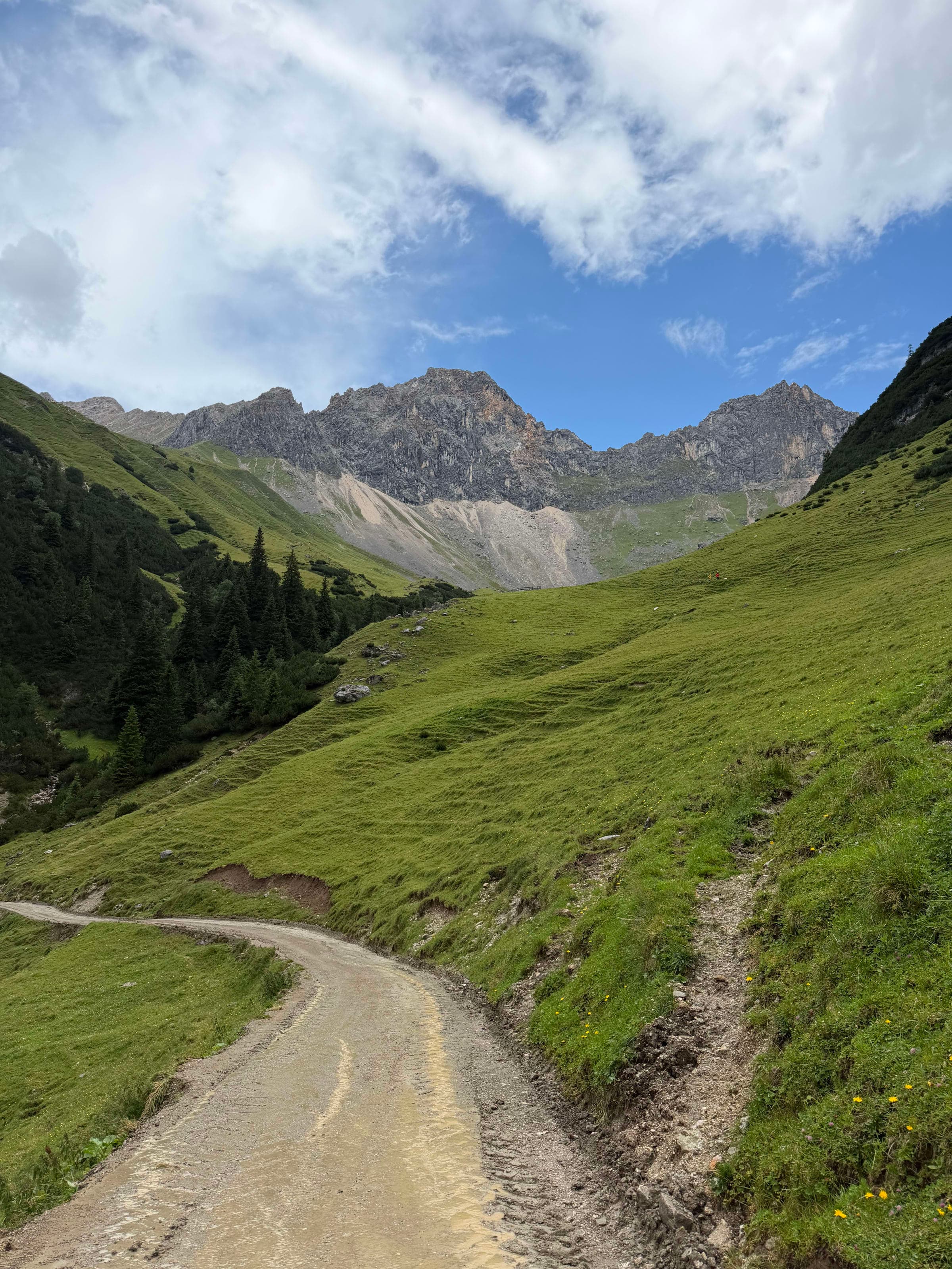 Wanderweg ins Almtal oberhalb von Seefeld